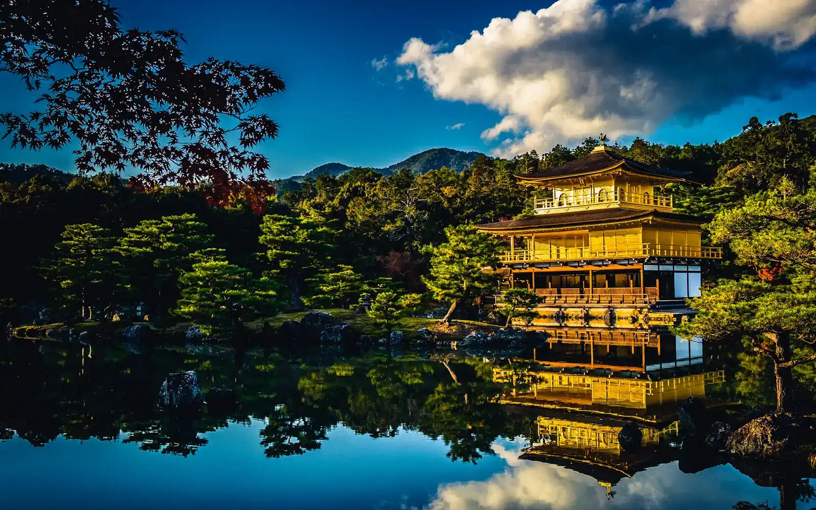 The Golden Pavilion reflected in a still pond