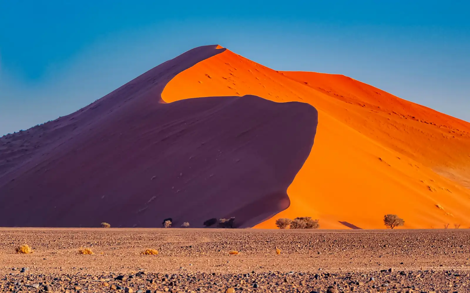 A red dune glowing above the desert floor
