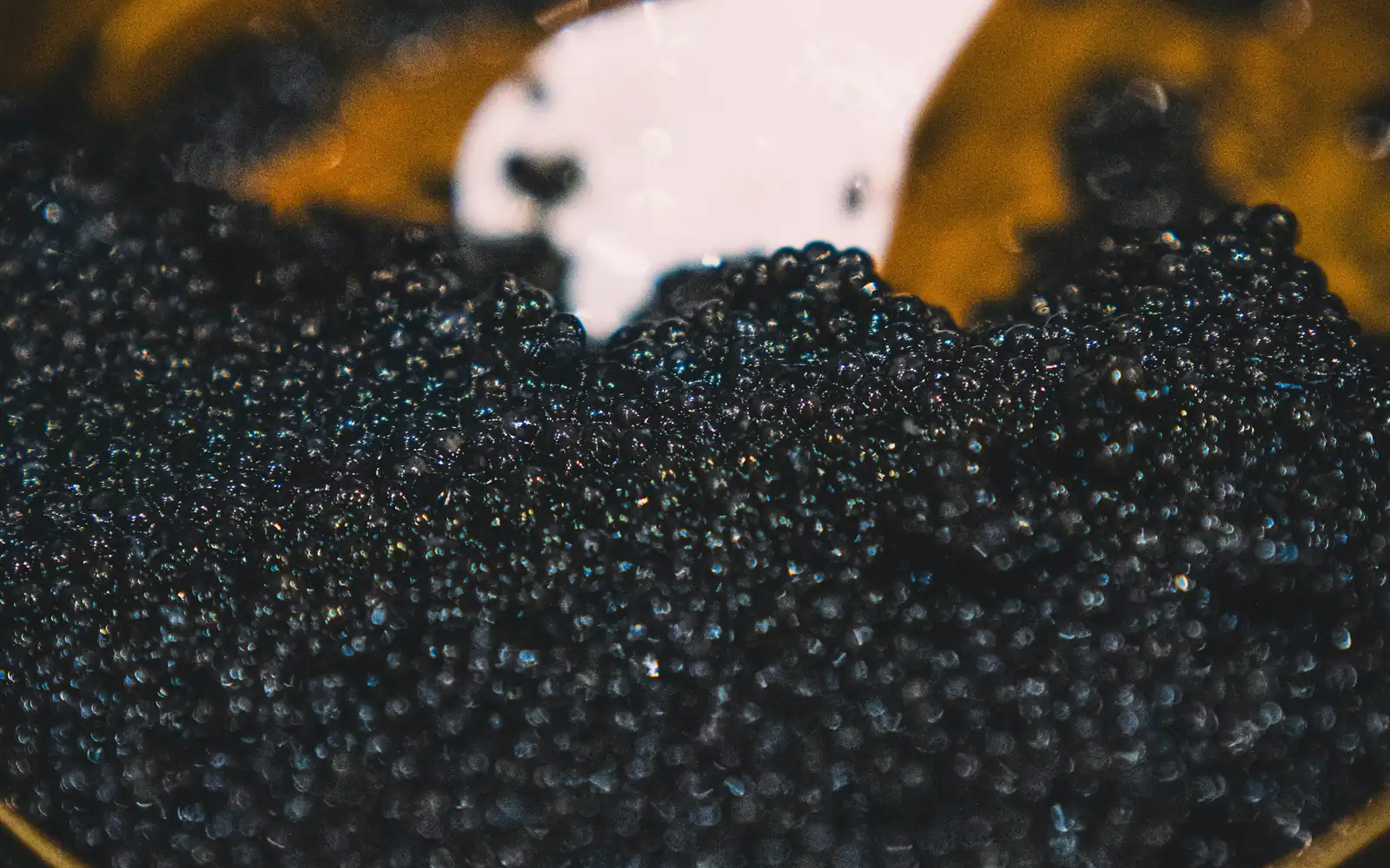 Rare black caviar glistening in its tin