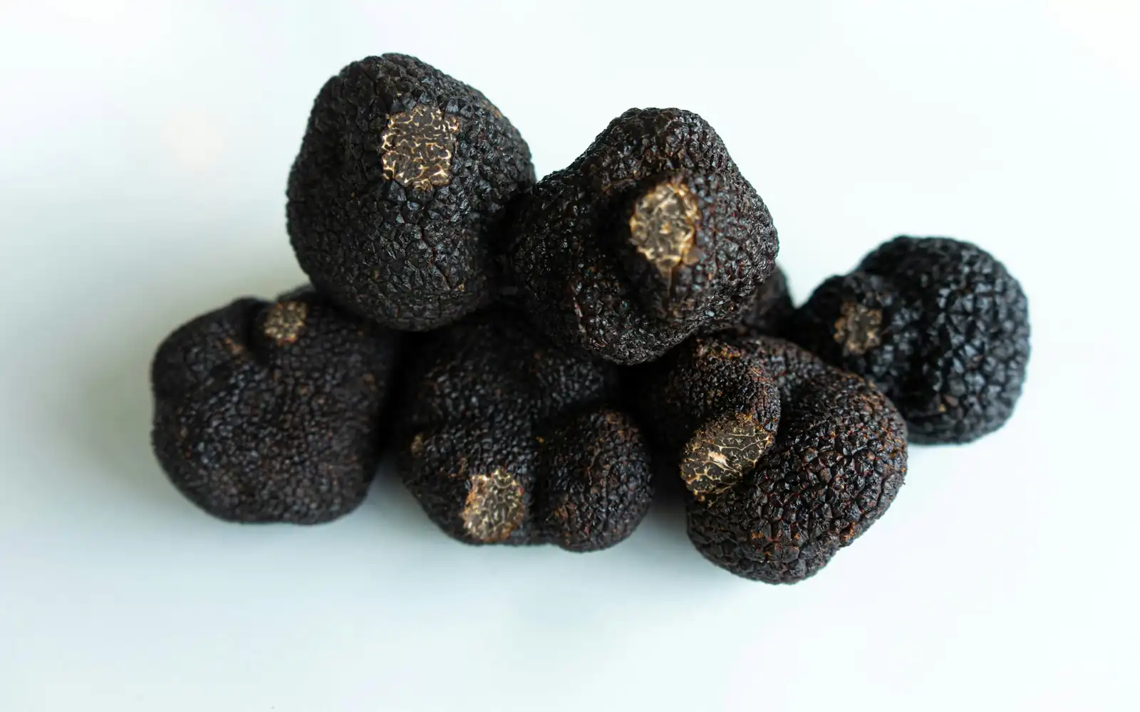 Rare black truffles from the winter harvest