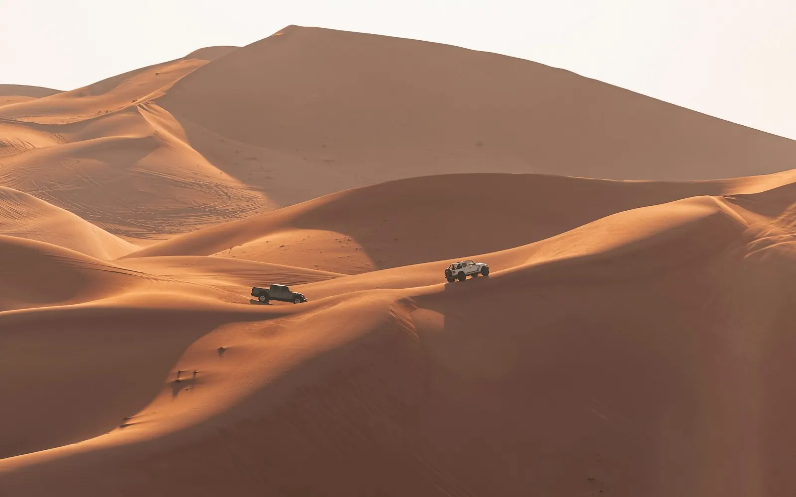 Golden desert dunes