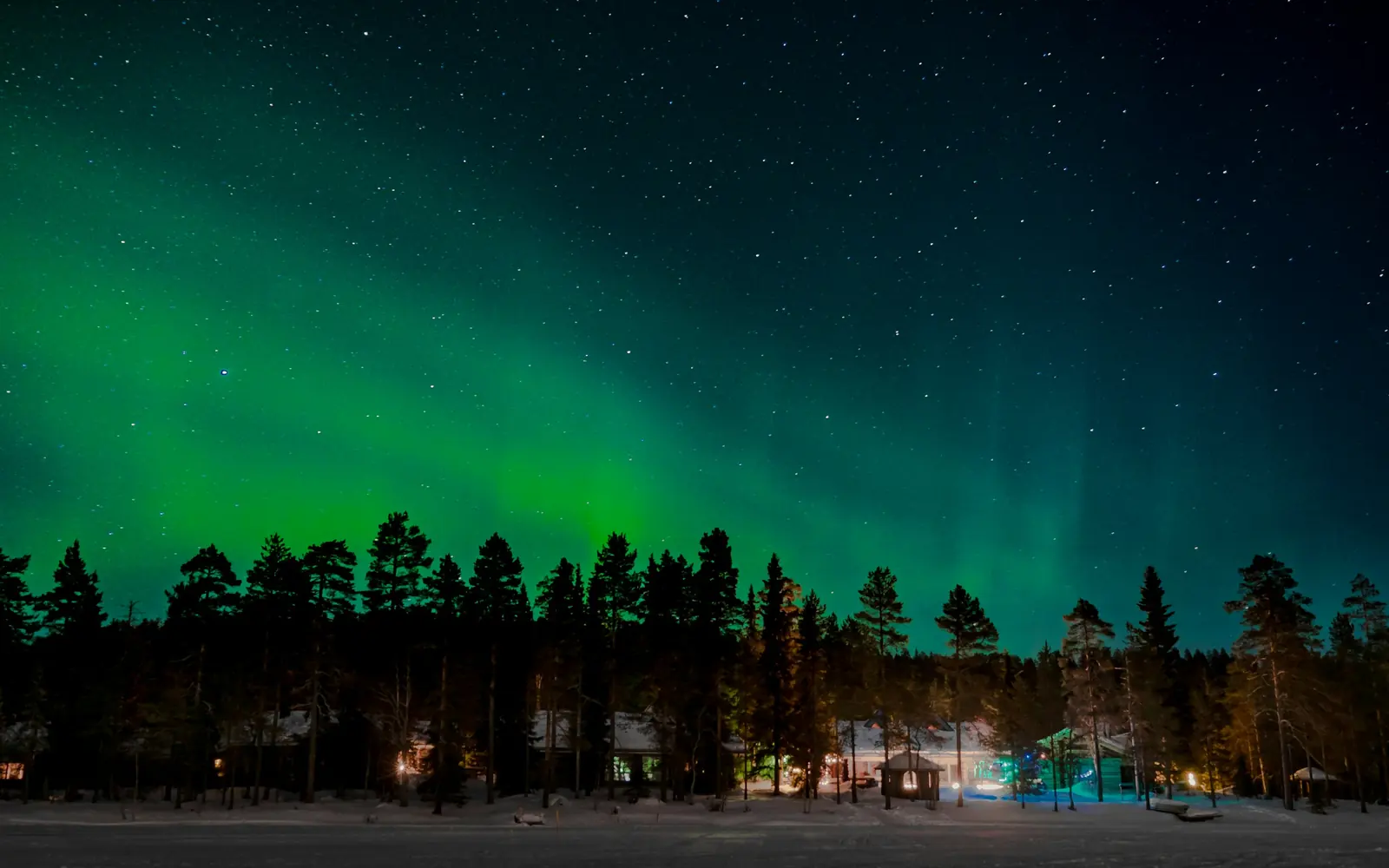 Northern lights above a quiet forest at night