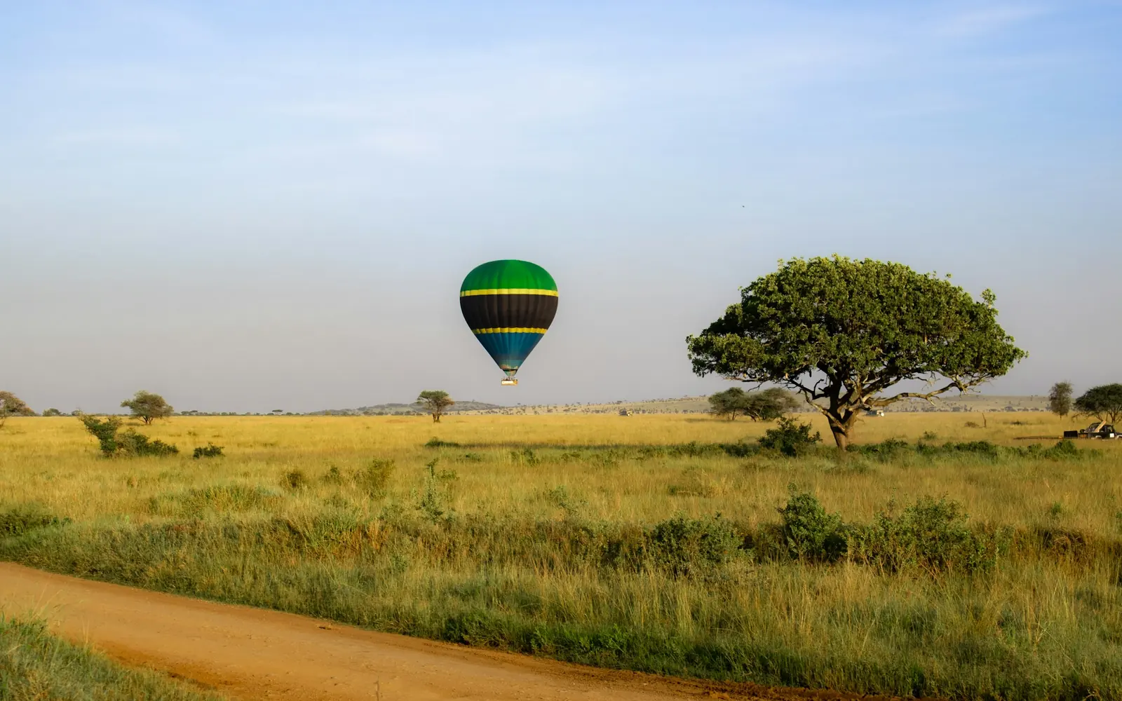 A hot air balloon drifting over open golden plains