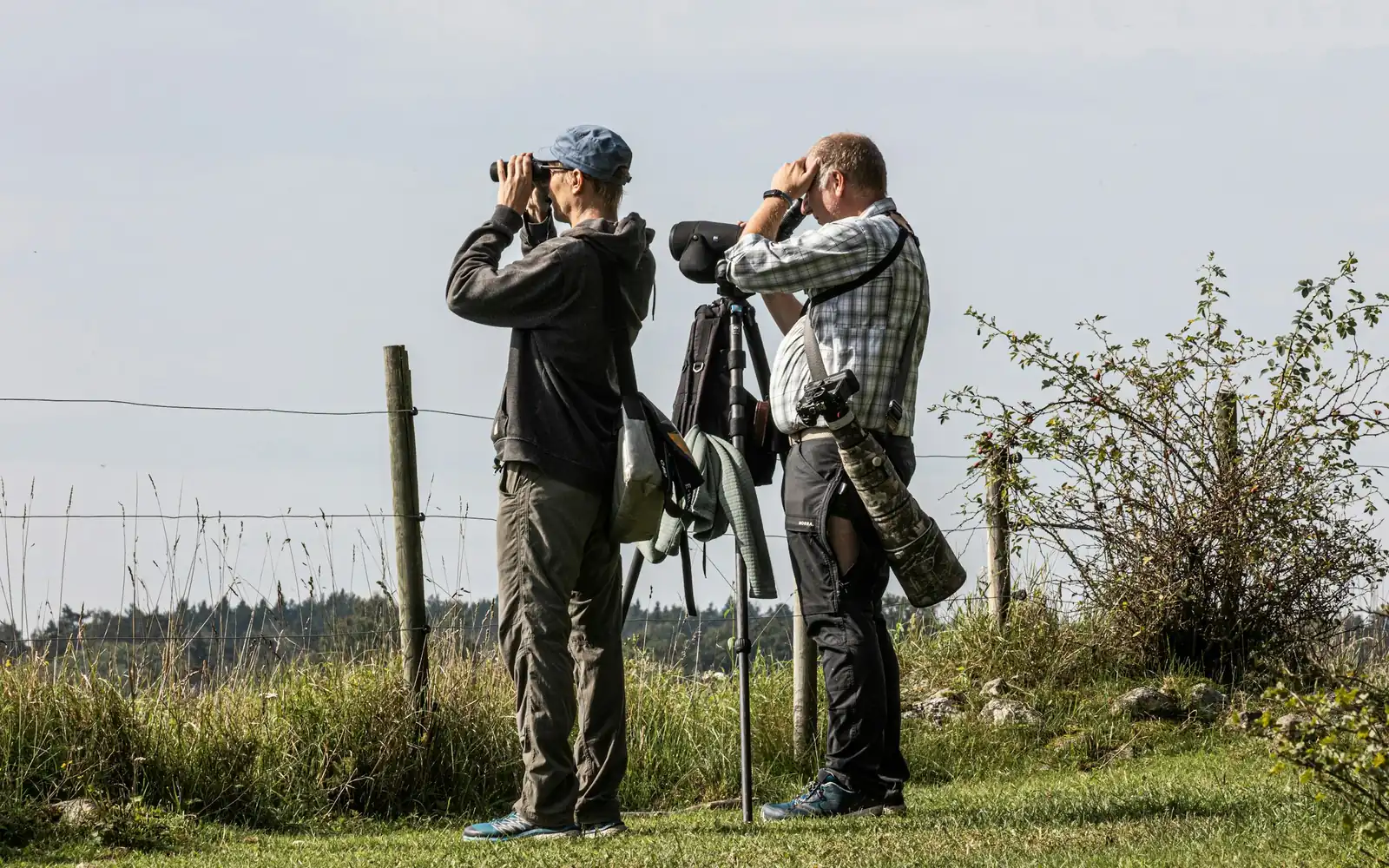 Two hunters glassing the plains with a spotting scope